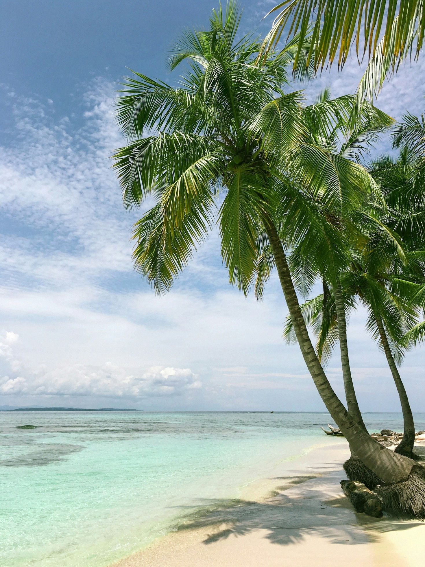 5 Ways Beach-Inspired Design Boosts Engagement