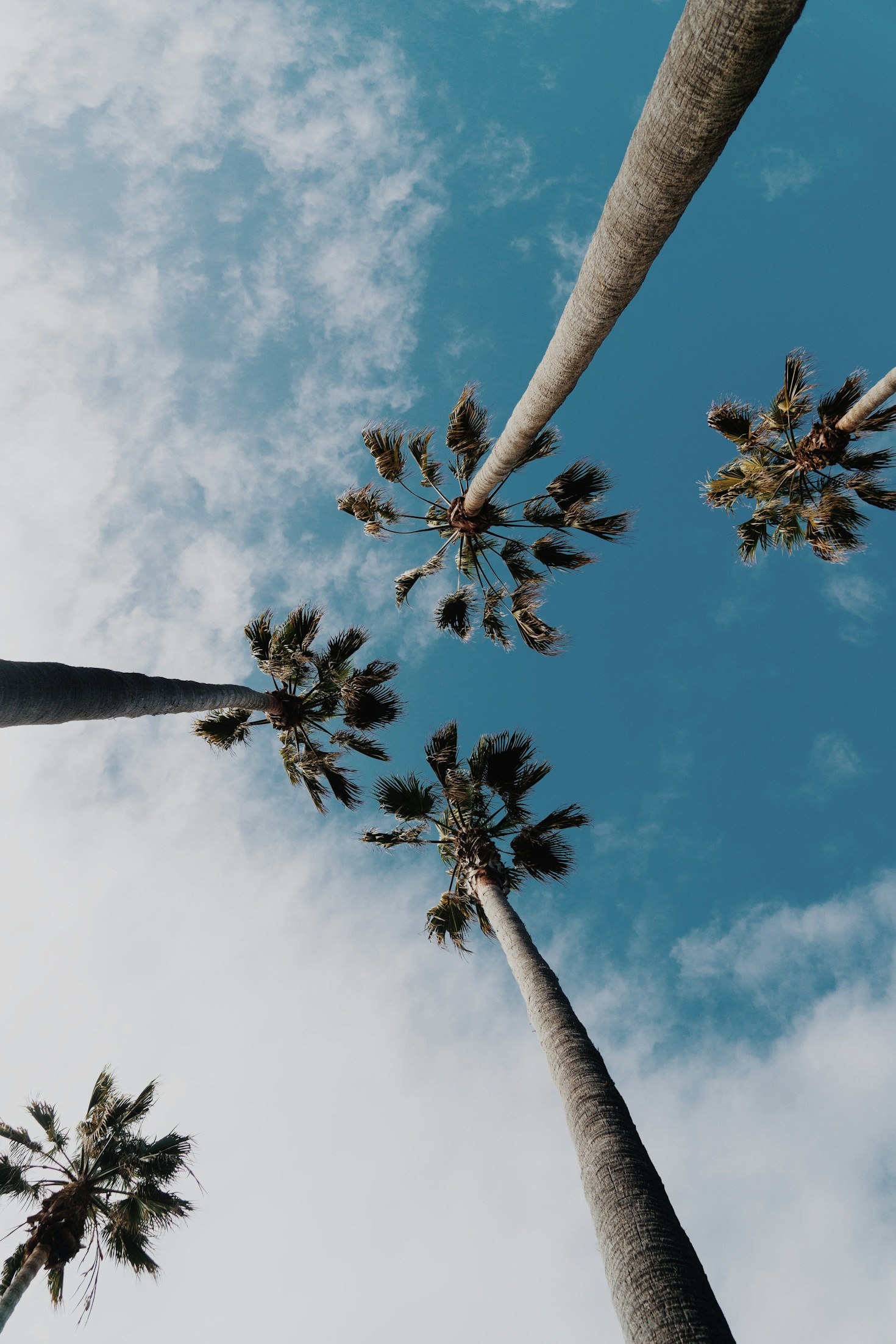 Why User Engagement Drives Online Growth